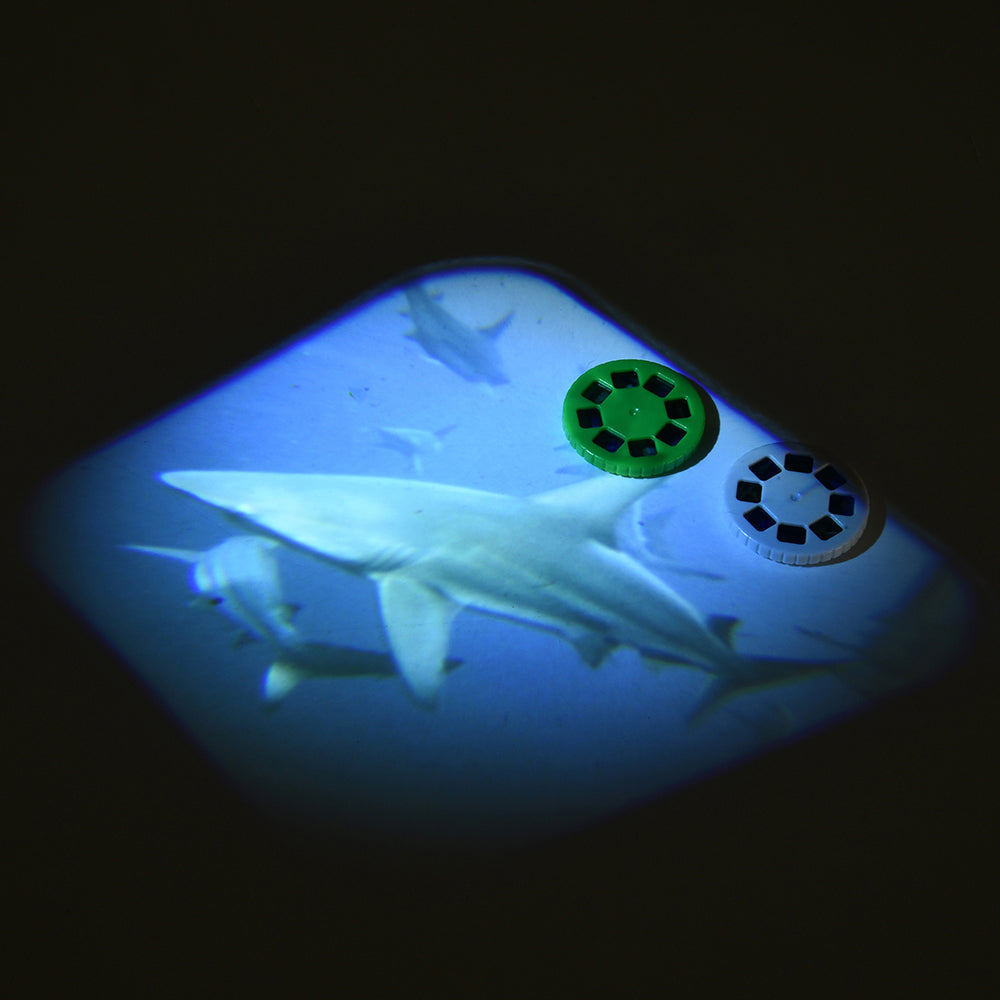 Discovery Projectors / Series 2