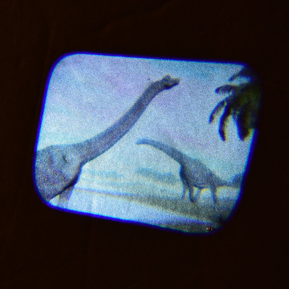 Discovery Projectors / Series 2