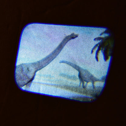 Discovery Projectors / Series 2