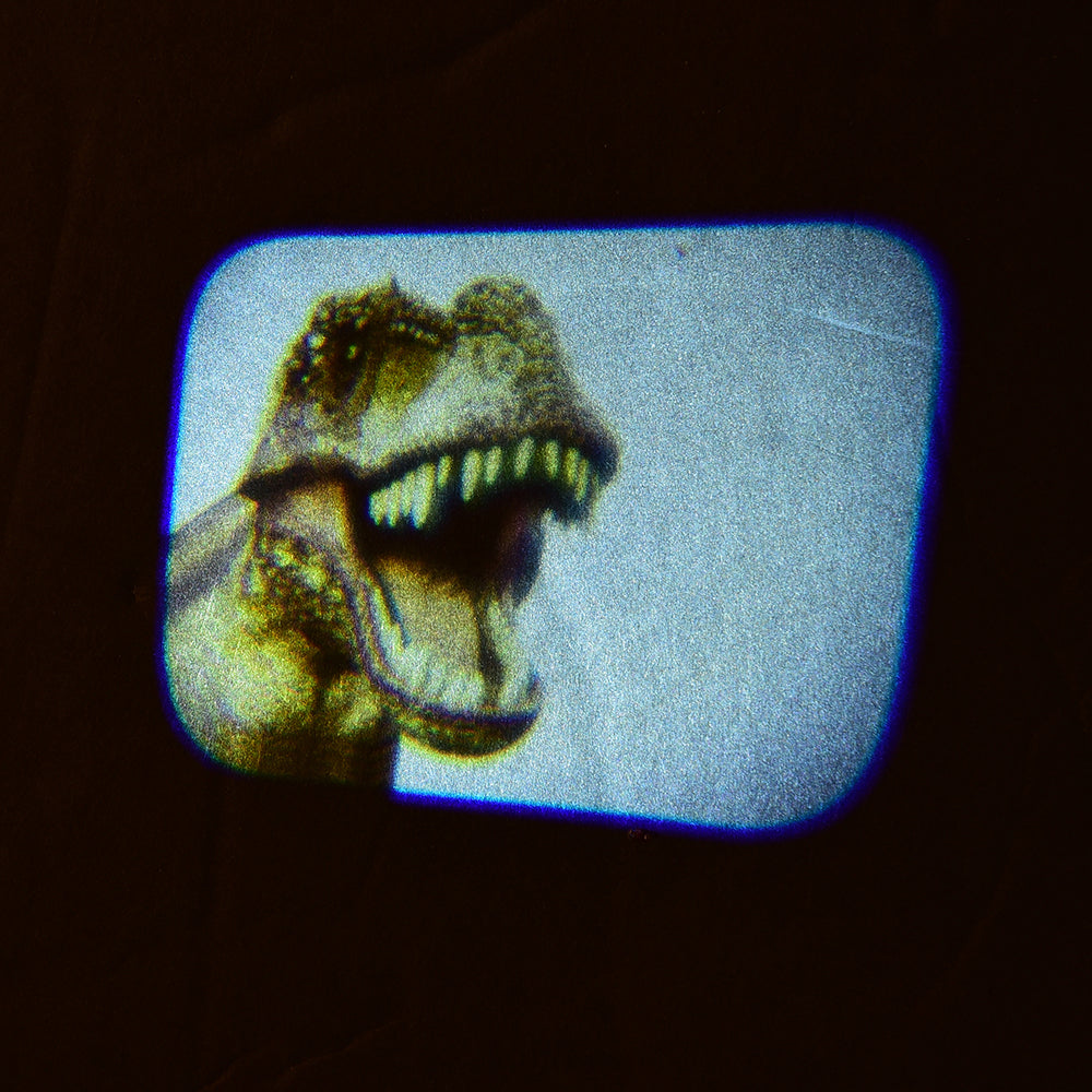 Discovery Projectors / Series 2