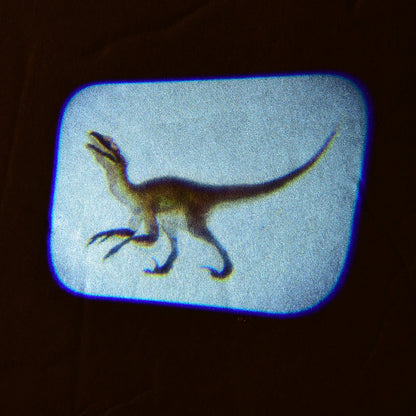 Discovery Projectors / Series 2